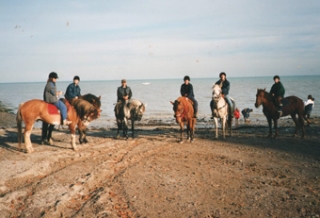 Promenades a cheval Mont St Michel